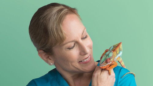 Dr. Ks tierische Notaufnahme Bild 3