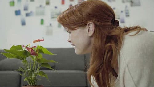 Harmonia Solid Bild 1