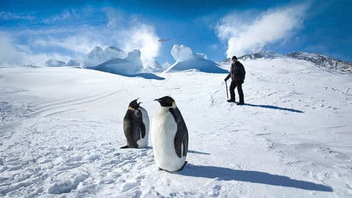Antarctica: A Year On Ice Bild 1