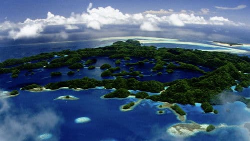 Pristine Seas Project: Zum Schutz der Meere Bild 1