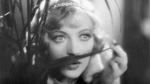 The Cardboard Lover Bild 8