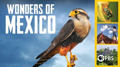 Wildes Mexiko Bild 3