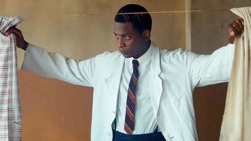 Die Spaltung der Welt Bild 4