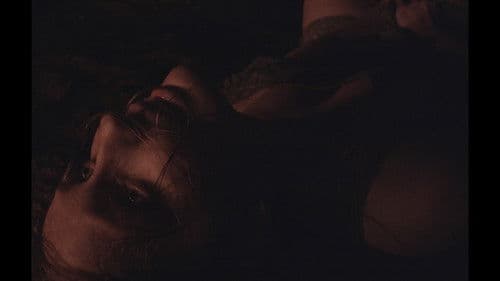 Não Nos Deixeis Bild 1