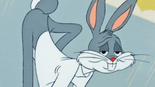 Der Hase von Sevilla Bild 3