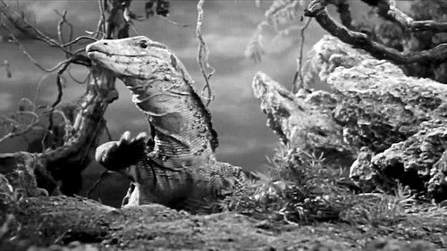 King Dinosaur Bild 4