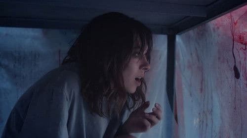 Подвал господина Гринберга Bild 1