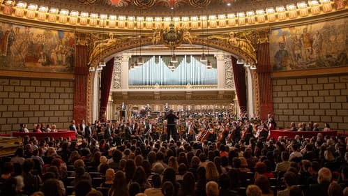 Cravata galbenă Bild 4