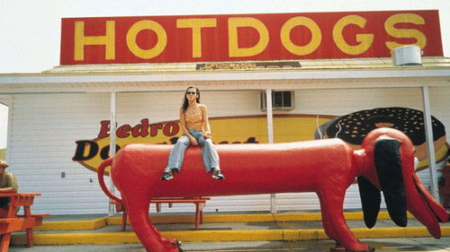 Auf die stürmische Art Bild 4