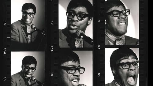 Don Lewis and The Live Electronic Orchestra Bild 1