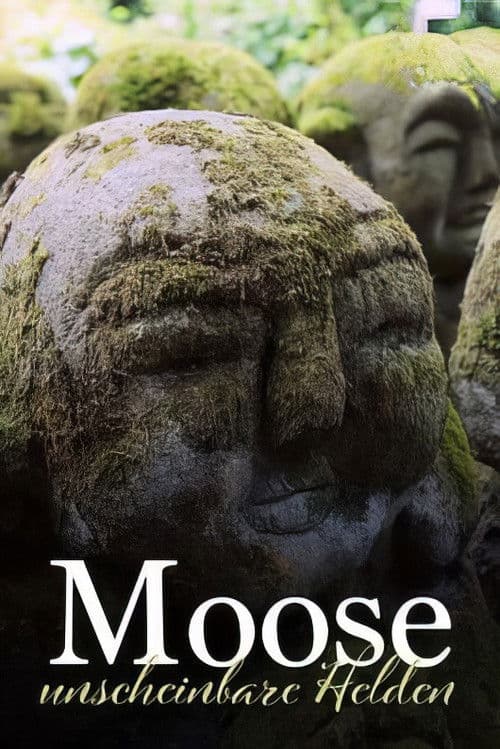 Moose, unscheinbare Helden