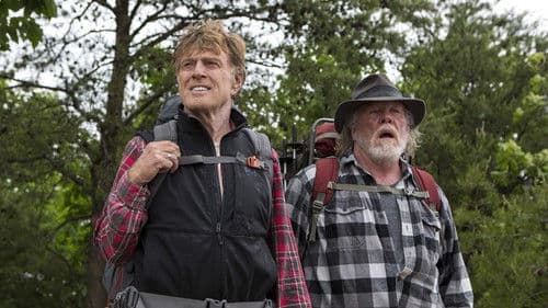 Picknick mit Bären Bild 4