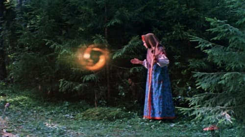 Der Hirsch mit dem goldenen Geweih Bild 1