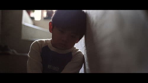 野犬與貓咪 Bild 3