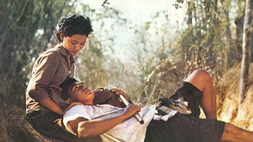 แผลเก่า Bild 2