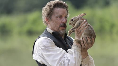 The Good Lord Bird Bild 2