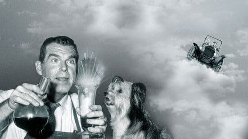 Der Pauker kann's nicht lassen Bild 4