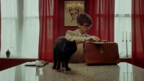 Miss Fortunate Bild 1