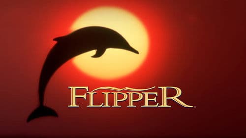 Flippers neue Abenteuer Bild 5