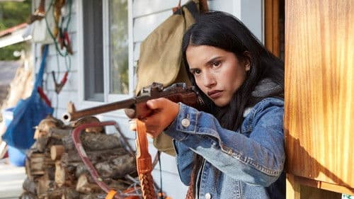 Through Black Spruce Bild 1