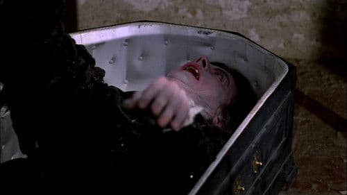 Las alegres vampiras de Vögel Bild 2