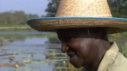 Black Is… Black Ain’t Bild 2