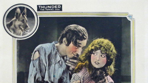 Black Lightning Bild 1