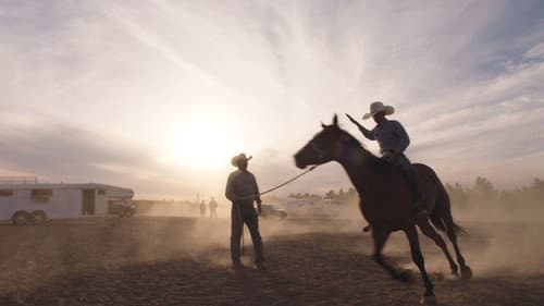 The Cowboy Bild 1