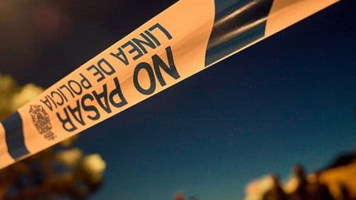 You Shall not Lie Bild 3