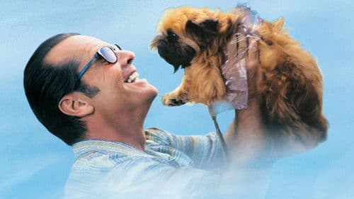 Besser geht's nicht Bild 2