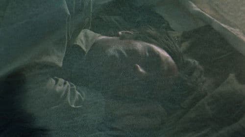 Sumpf unter den Füßen Bild 8