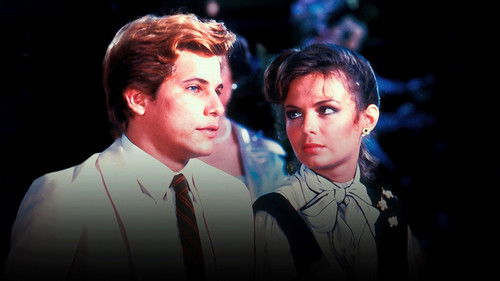 Plumas & Paetês Bild 2