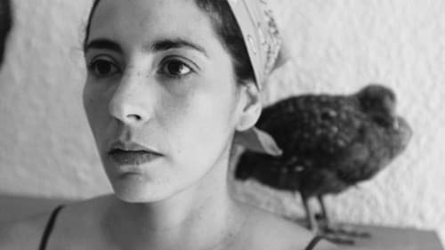 Polvo de gallo Bild 1