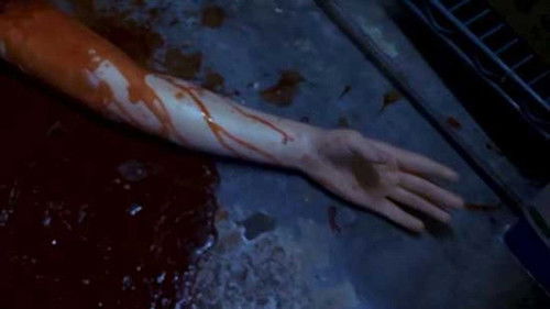 Human Hibachi Bild 1