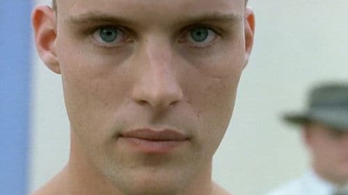 Gegen den Strom Bild 2