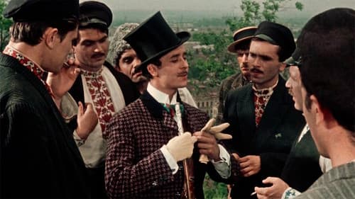 Wer zwei Hasen hetzt... Bild 7