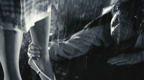 白く濡れた夏 Bild 6