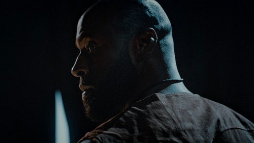 Squared Circles Bild 4