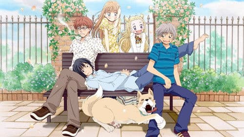 Honey and Clover Bild 7