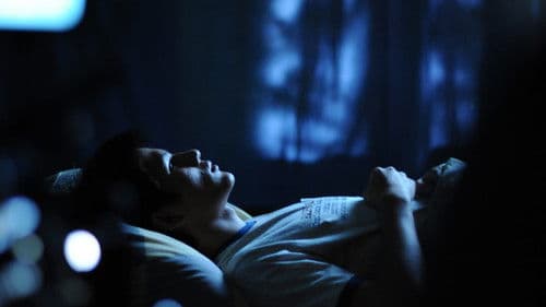 เจ้านกกระจอก Bild 4