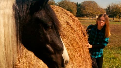 Glamour Girl im Pferdestall Bild 6