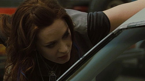 Sunshine Cleaning Bild 5