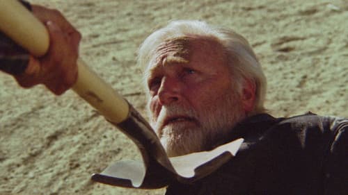 Prisoner of the Desert Bild 2