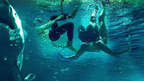 Blood in the Water Bild 1