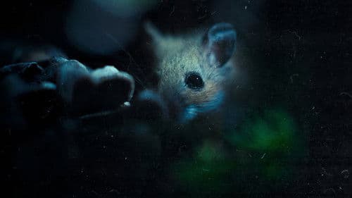 Nightmares of Nature Bild 7