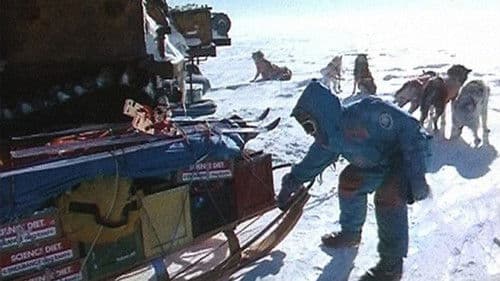 Au Sud du Sud Bild 4