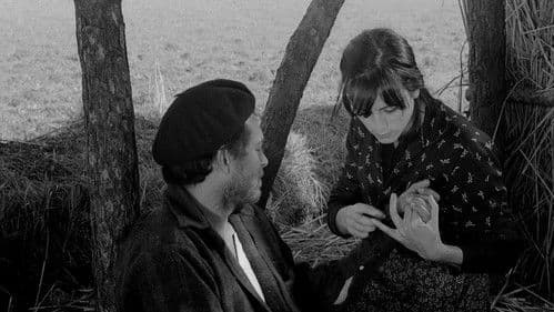 Das Leben ändern Bild 4