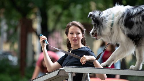 Řekni to psem Bild 2