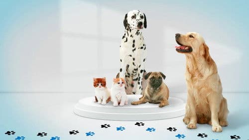 A l'école des vétos Bild 1