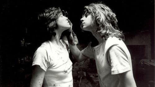 Der Zementgarten Bild 5